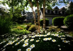 Home Warranty: Budget Protection & Coverage Details